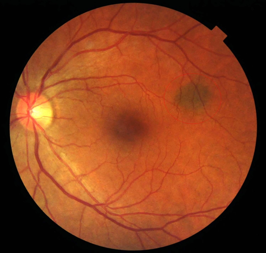 LEAD Technologies Inc. V1.01